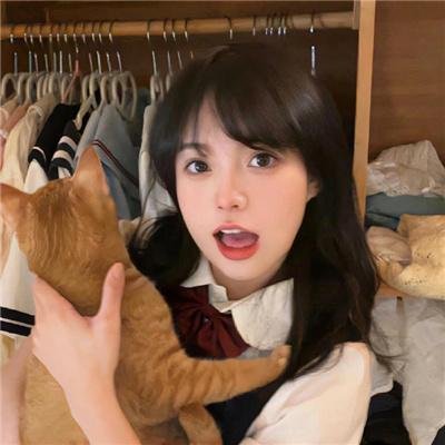 文豪野犬第三季